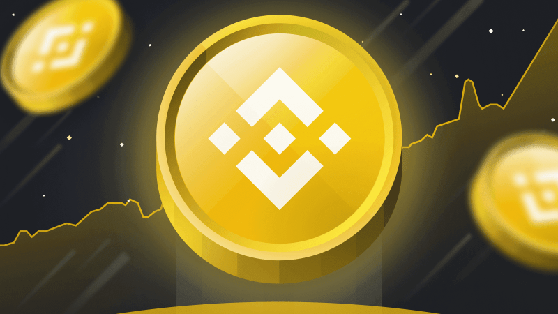 bnb coin binance coin